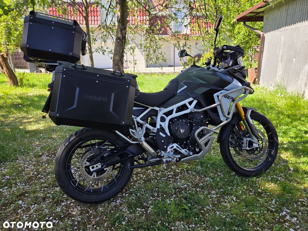 Triumph Tiger - 4