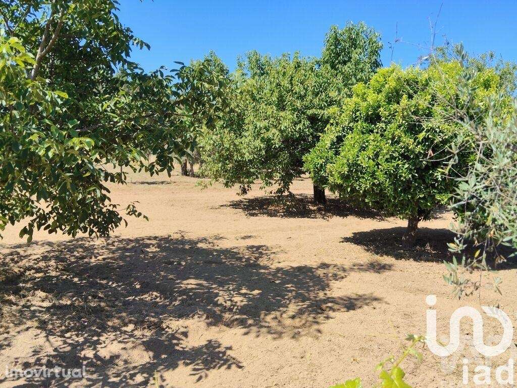 Terreno em Castelo - Grande imagem: 2/32