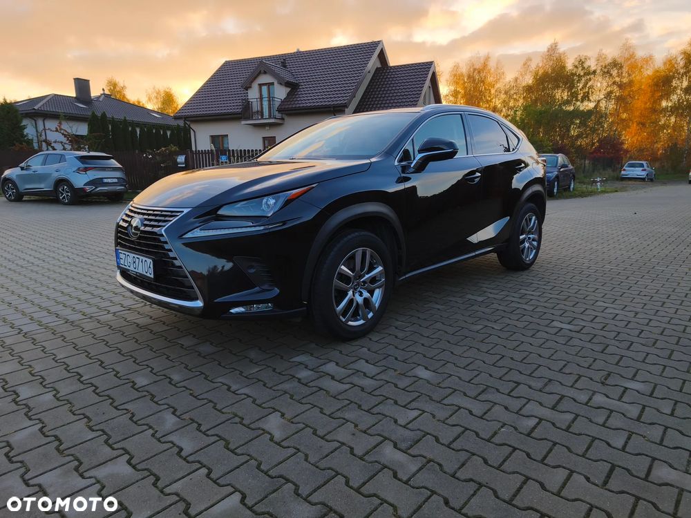 Lexus Nx 2018 photo 2