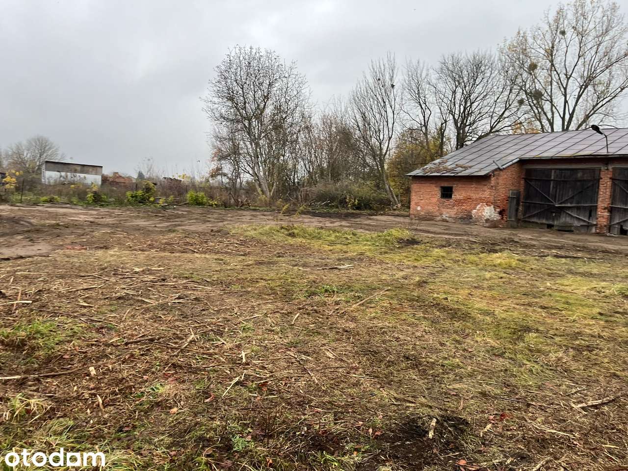 Działka 3300 m² z MPZP – Bednary-Kolonia, gm. Nieborów - Pełny obrazek: 5/5