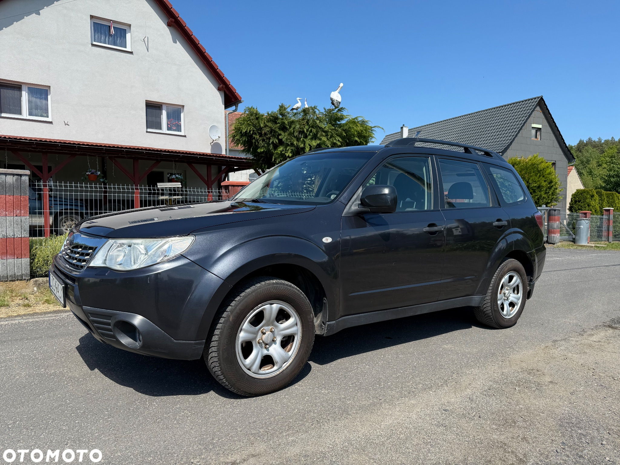 Subaru Forester - 7
