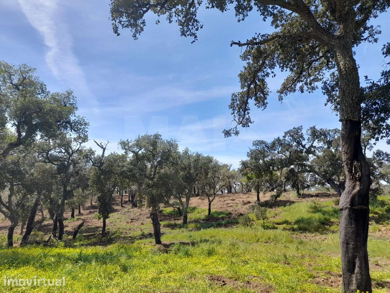 Terreno Urbano com 8.4 H em Melides | Setúbal, Grândola, Melides - Grande imagem: 3/19
