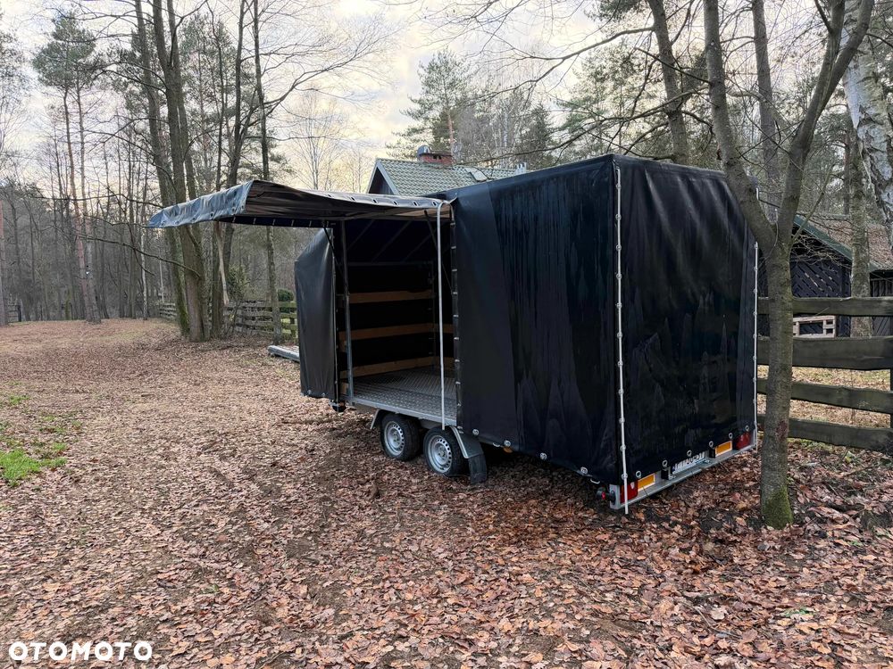 Niewiadów Jupiter Alu - 12