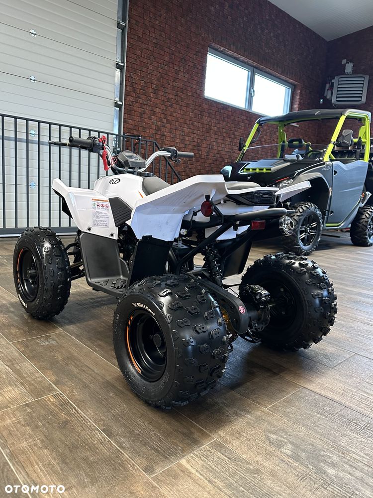 Linhai ATV - 3