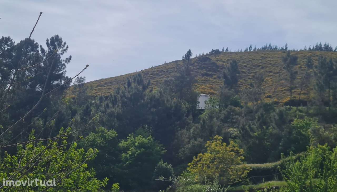 Venda Terreno, Gestaçô, Baião - Grande imagem: 4/32