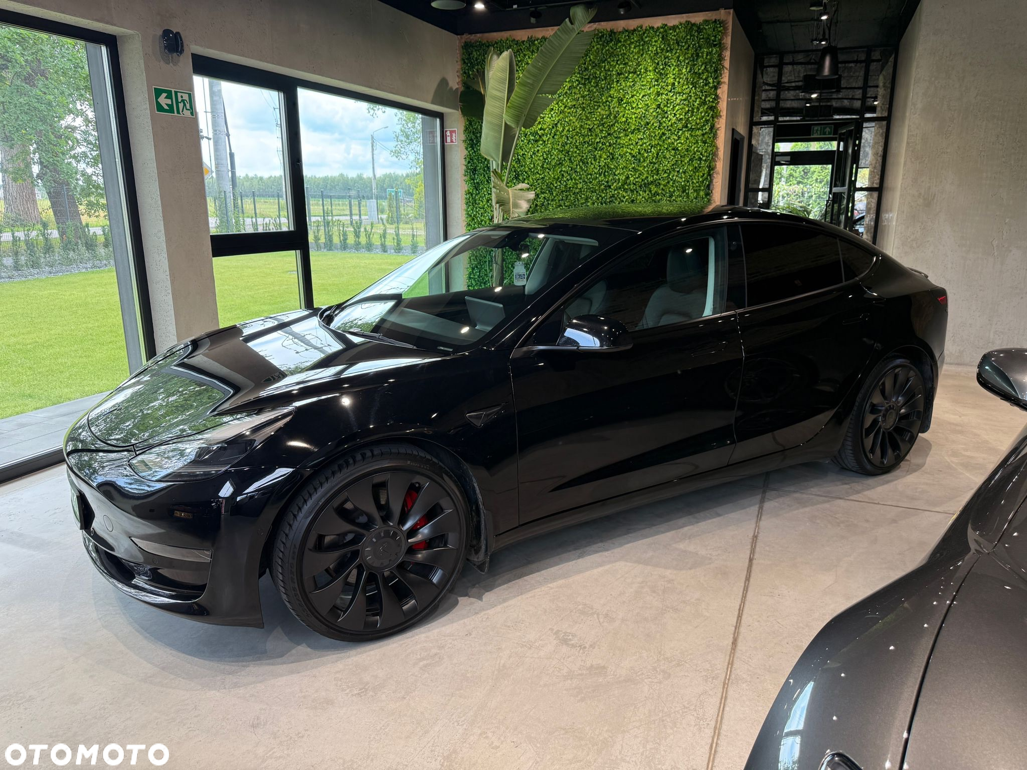 Tesla Model 3 Performance AWD - 2