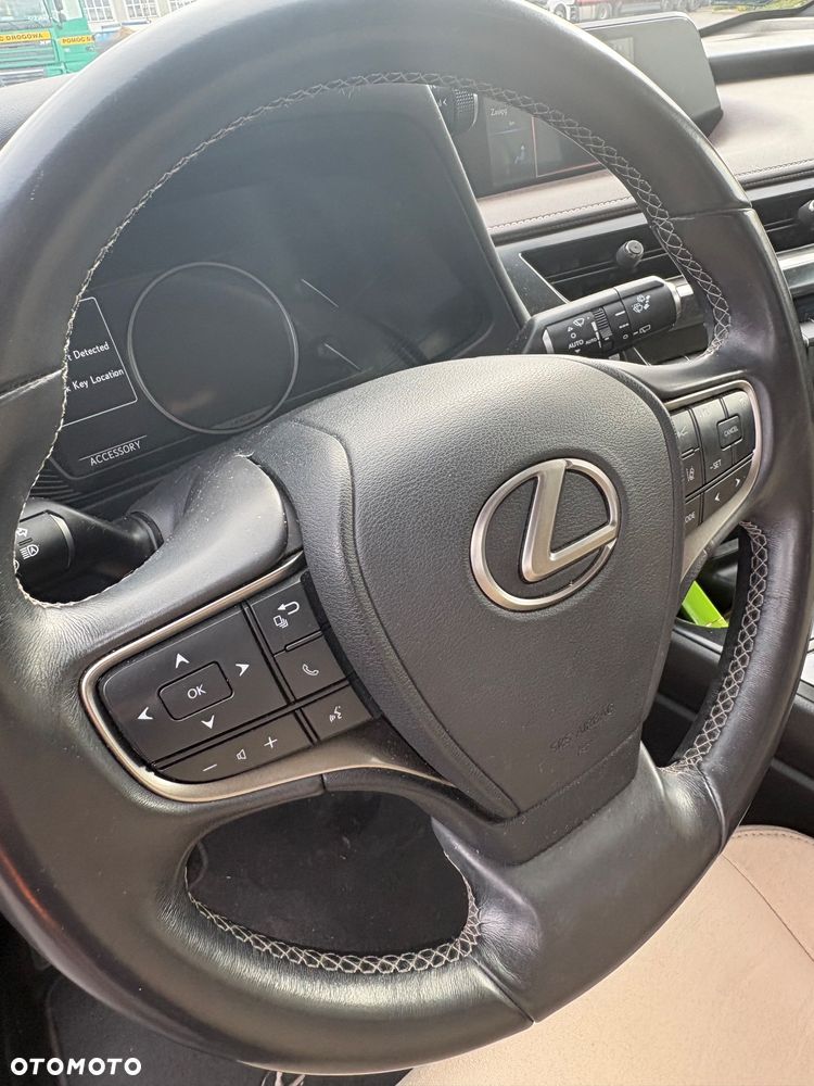 Lexus UX 250h GPF Business Edition 2WD - 18