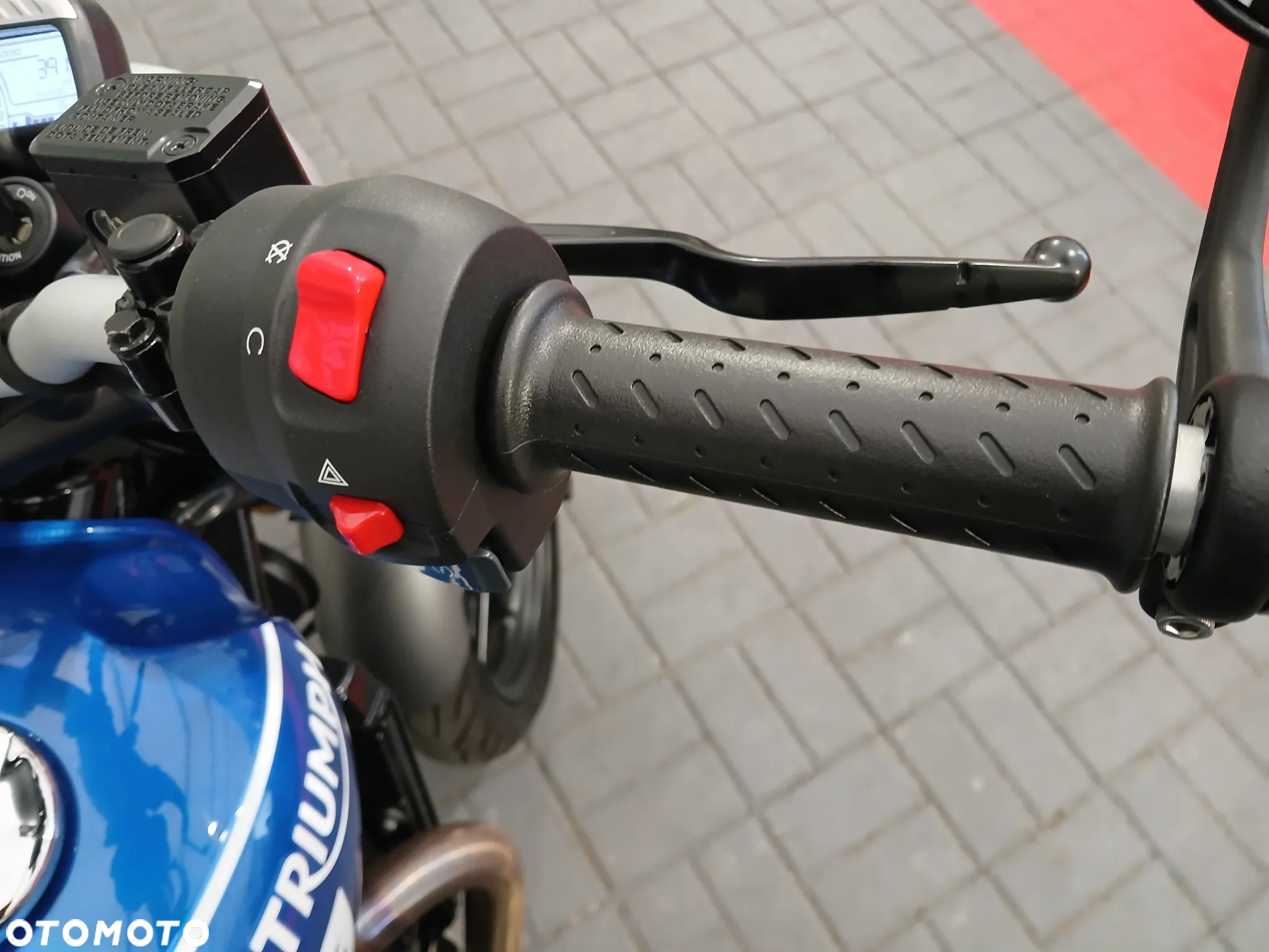Triumph Inny - 18