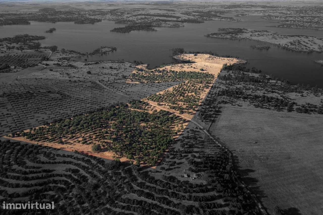 Propriedade  com 15.3ha, junto à barragem do Monte da Rocha - Ourique - Grande imagem: 2/15