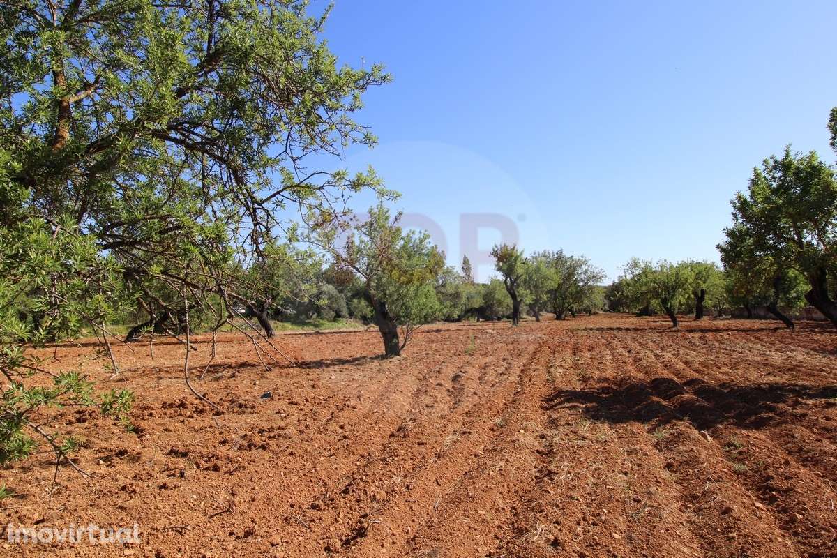 Terreno urbano destinado a construção de moradias unifamiliares - Grande imagem: 3/23