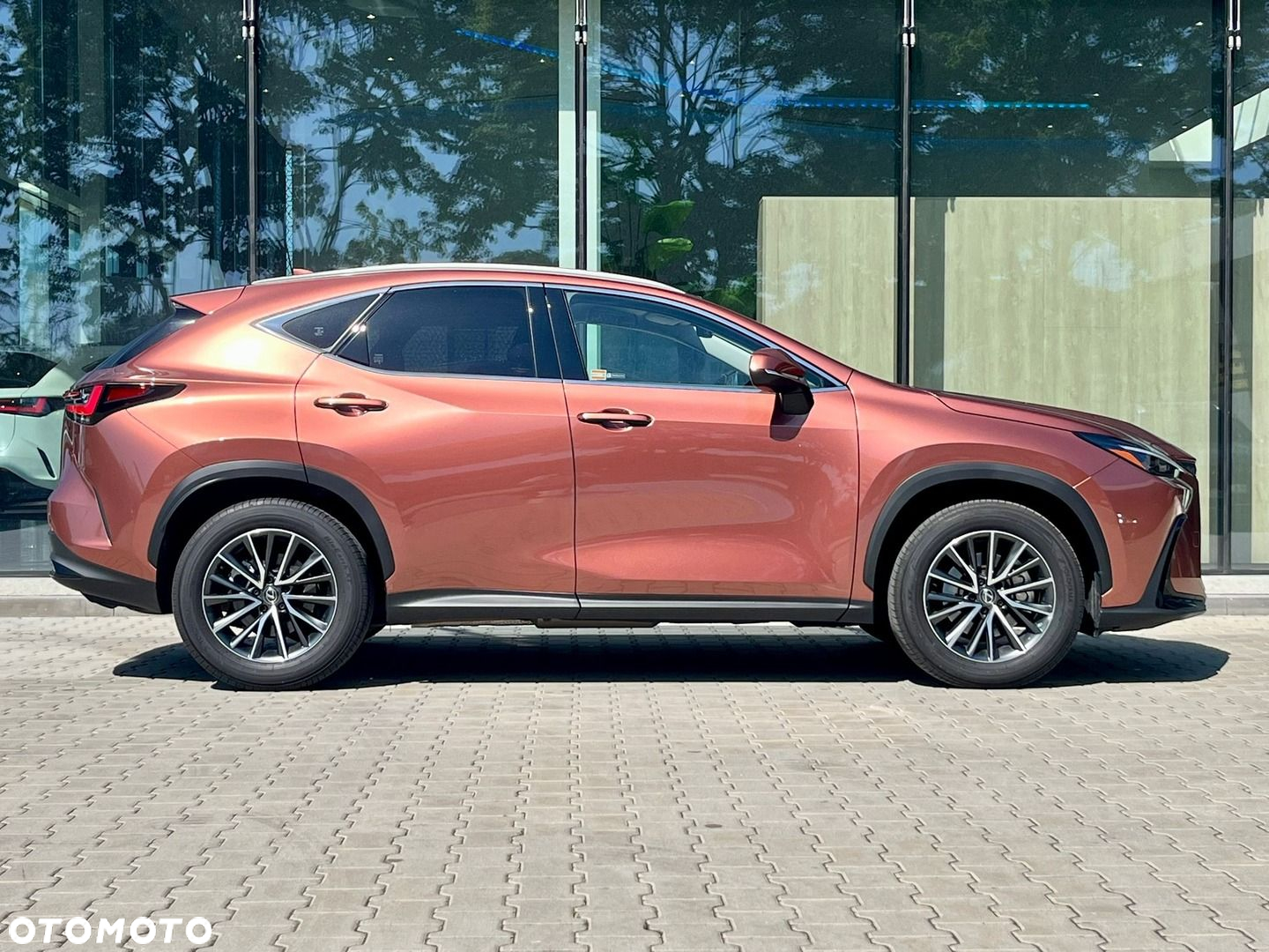 Lexus NX - 4