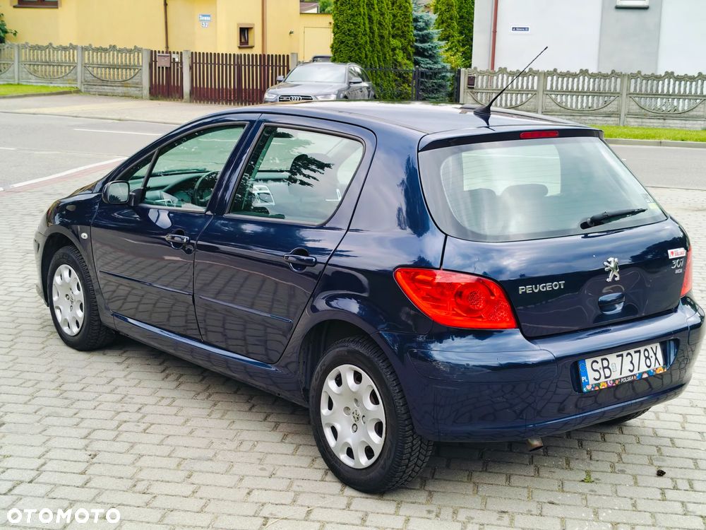 Peugeot 307 HDi 90 Grand Filou Cool - 17
