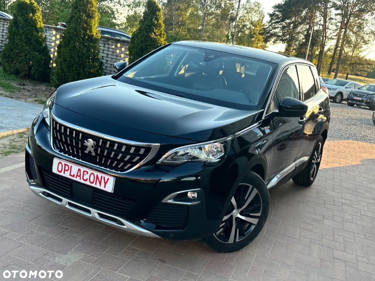 Peugeot 3008 - 14