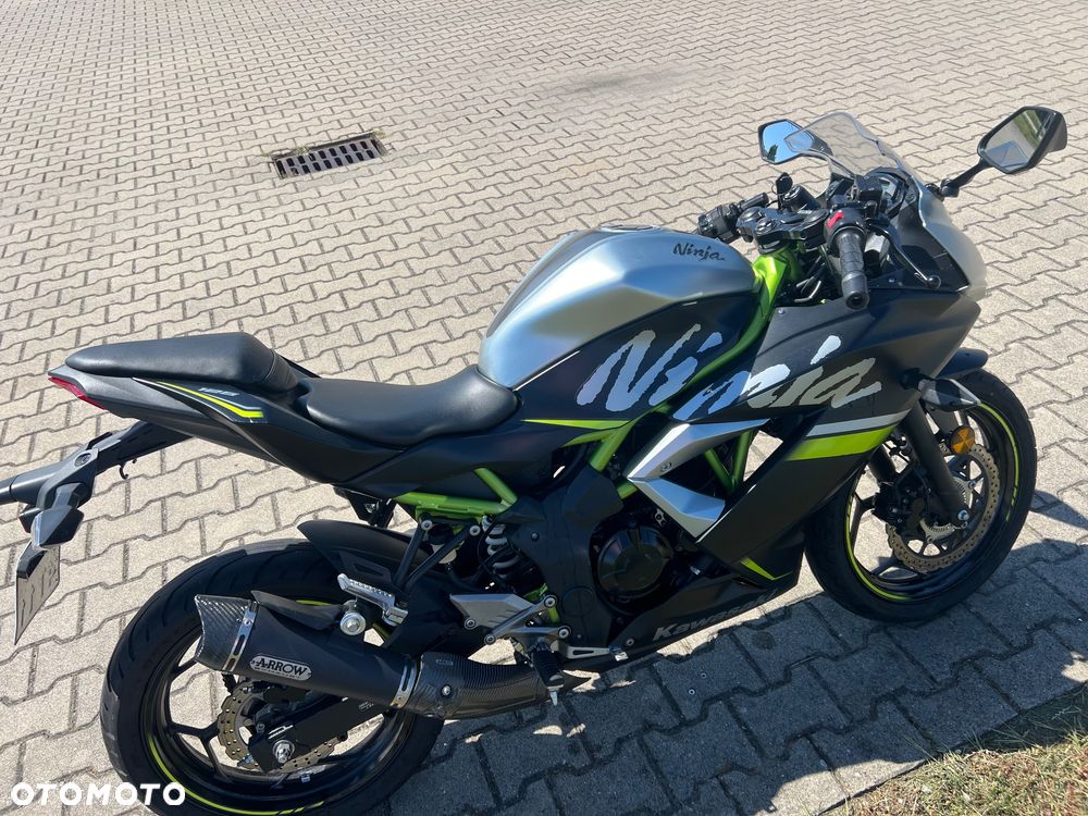 Kawasaki Ninja - 7