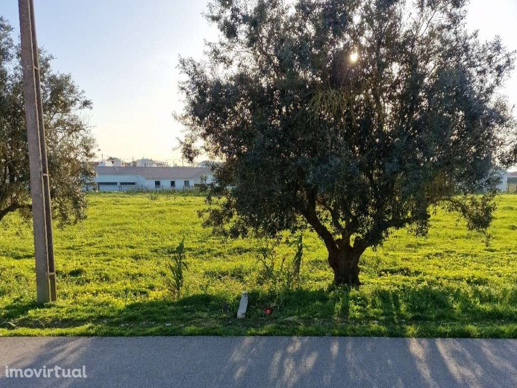 Terreno de construção livre para moradia(s) térrea(s) e isolada(s) - Grande imagem: 4/10