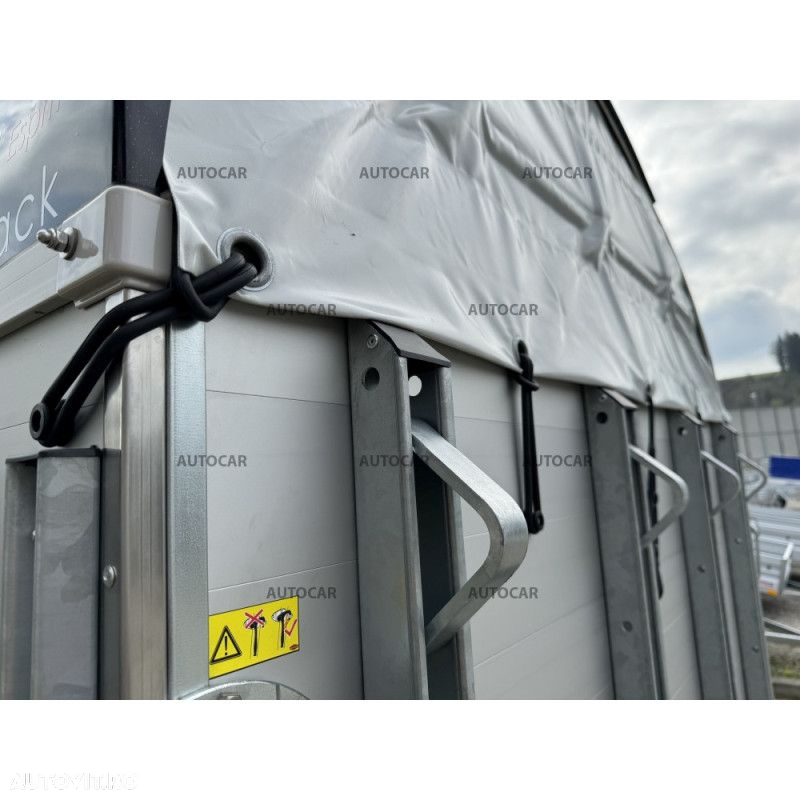Autocar Remorca transport cai  Champion Esprit C cu camera pentru depozitare sa - 12