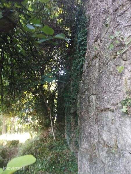 Casa de pedra em ruínas com terreno - Grande imagem: 4/12