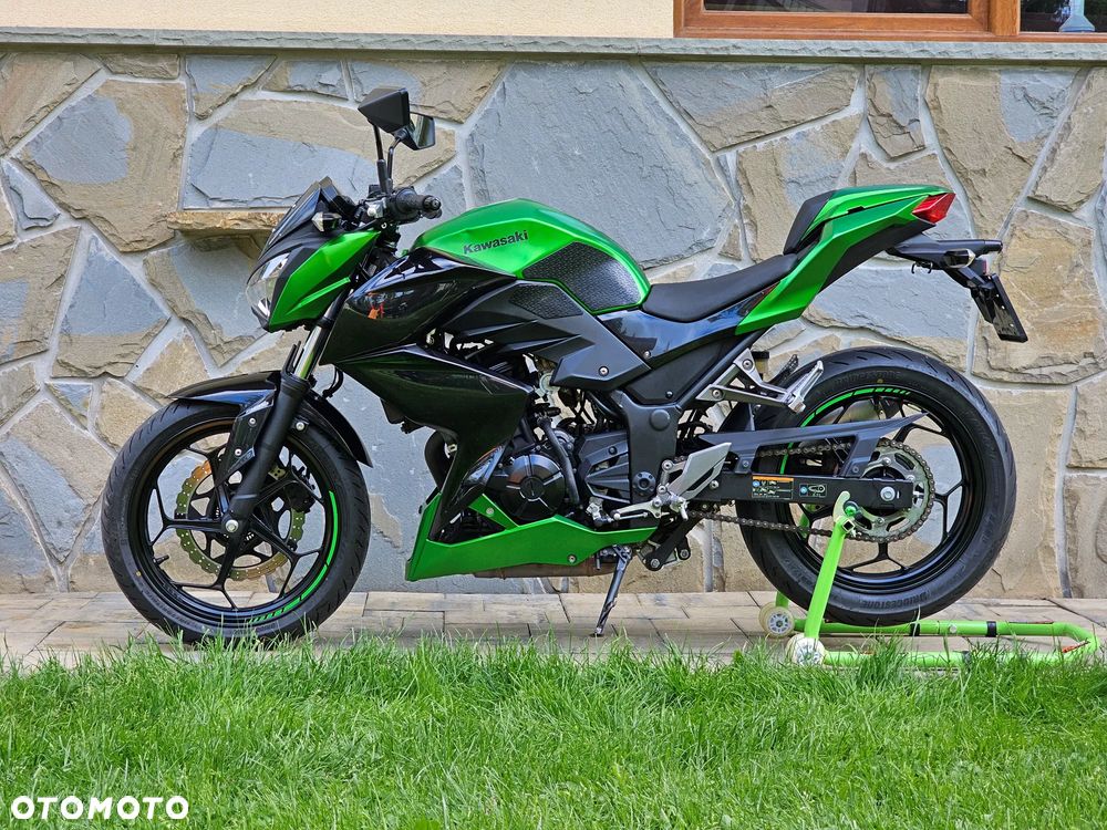 Kawasaki Z - 17