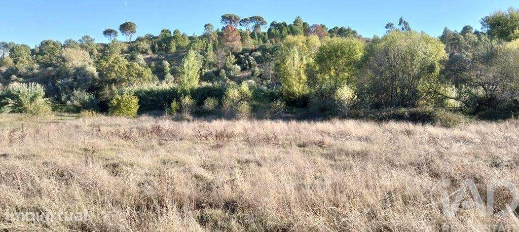 Terreno em Gançaria - Grande imagem: 2/21