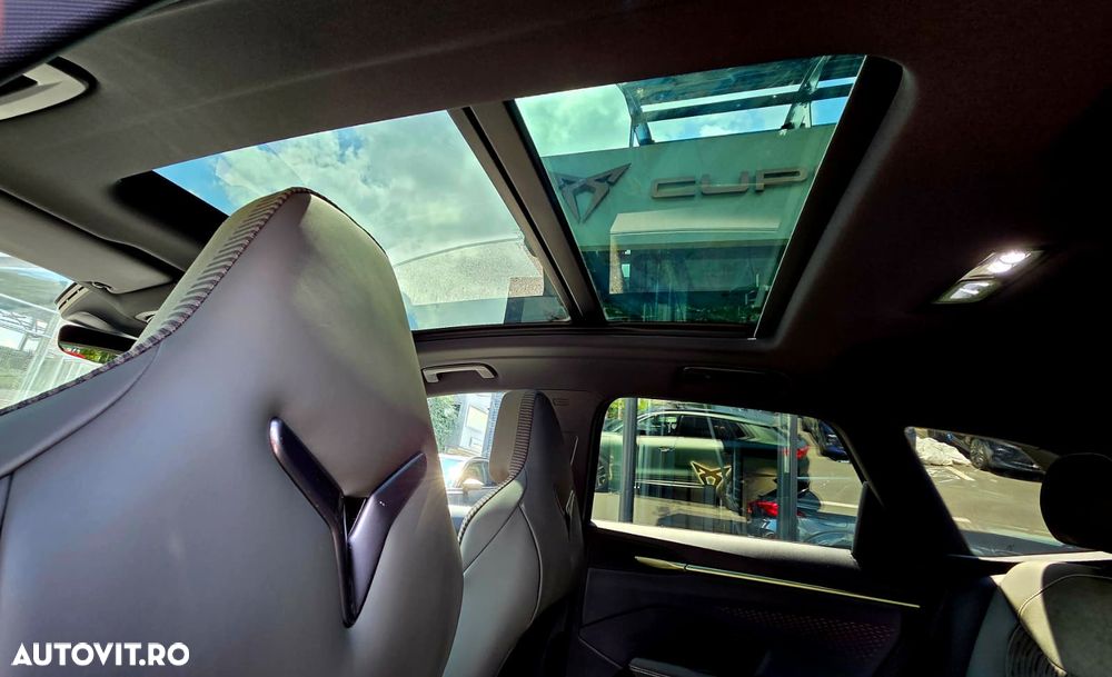 Cupra Terramar - 20