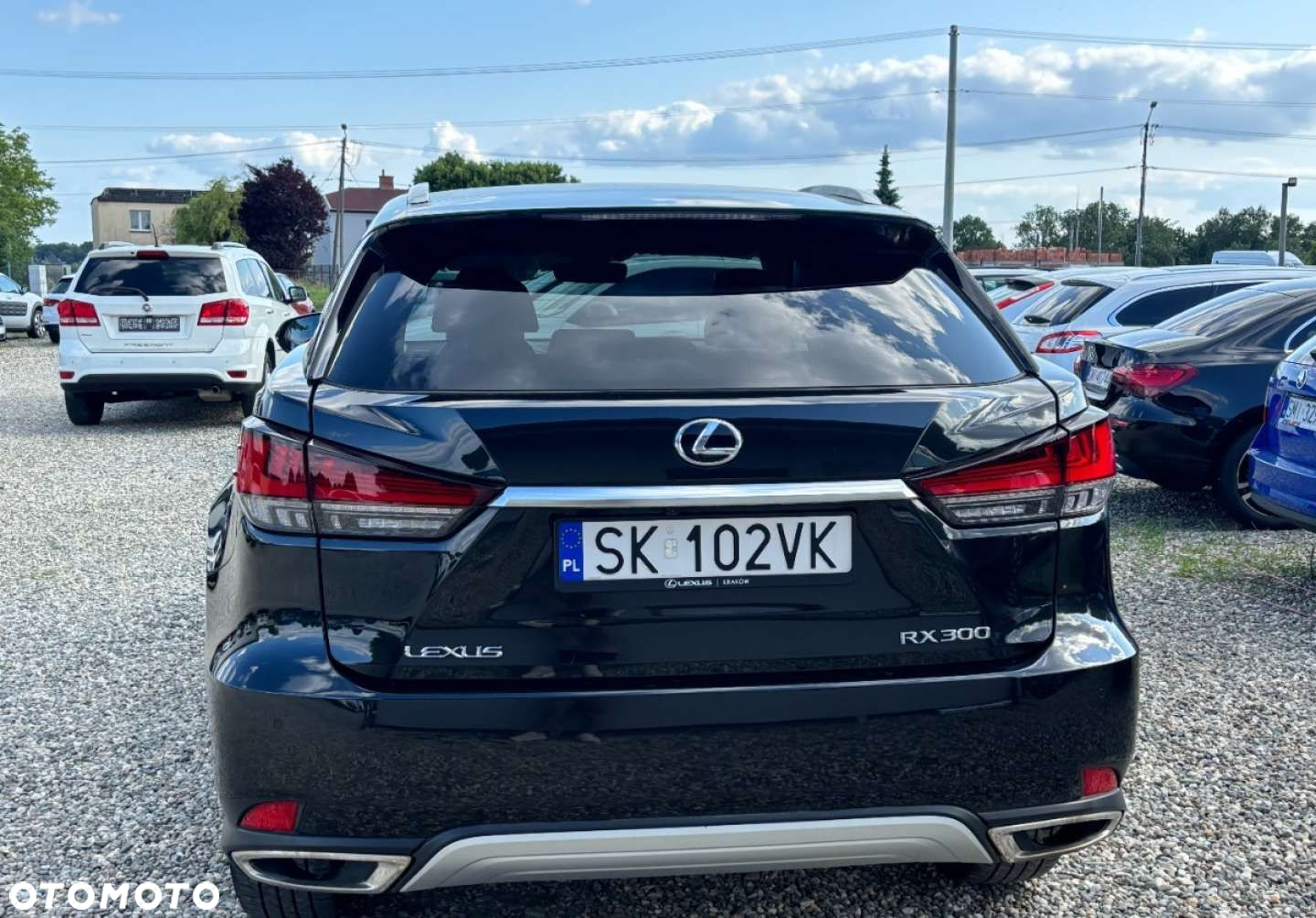 Lexus RX - 6