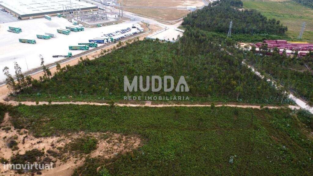 OPORTUNIDADE ÚNICA – TERRENO INDUSTRIAL PREMIUM EM ALBERGARIA-A-VELHA - Grande imagem: 2/7