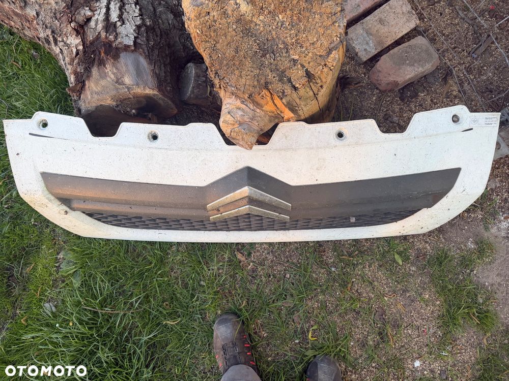 Atrapa grila jumper - 2