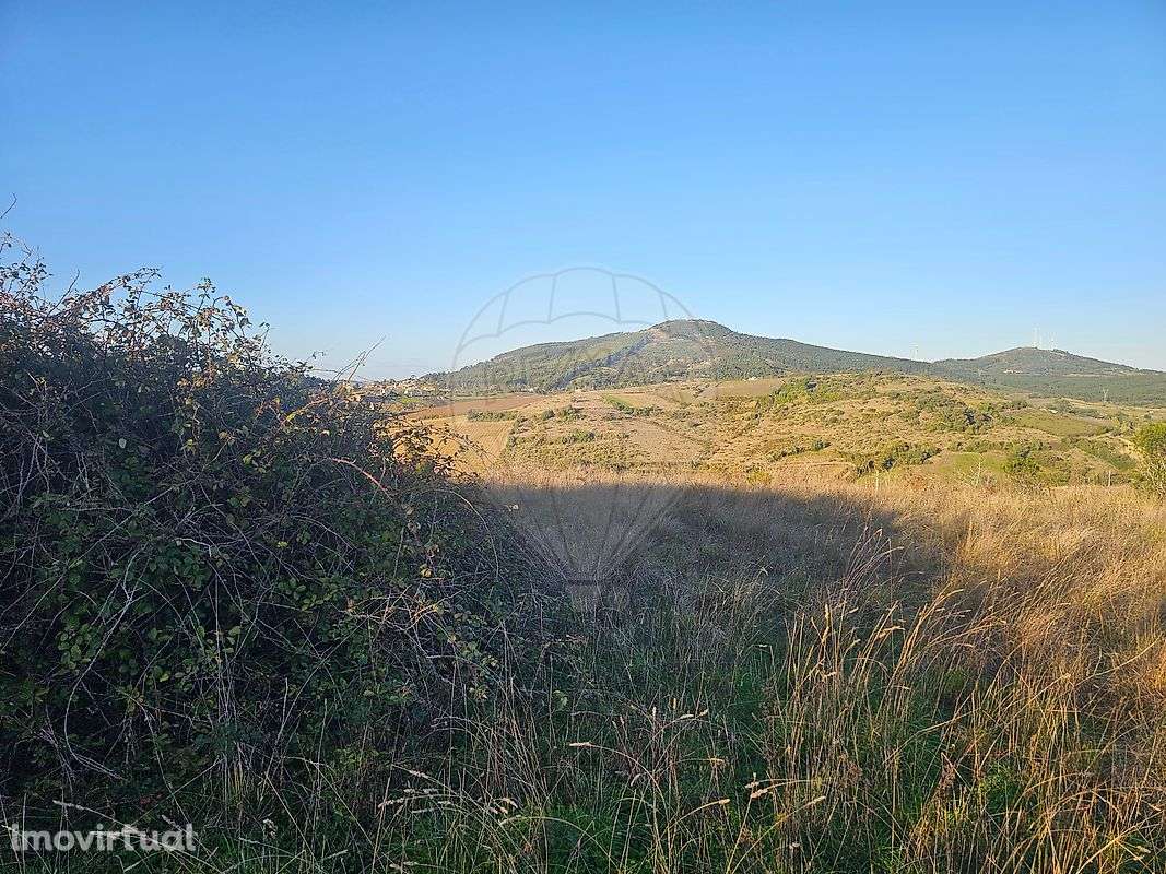 Terreno  para venda - Grande imagem: 5/8