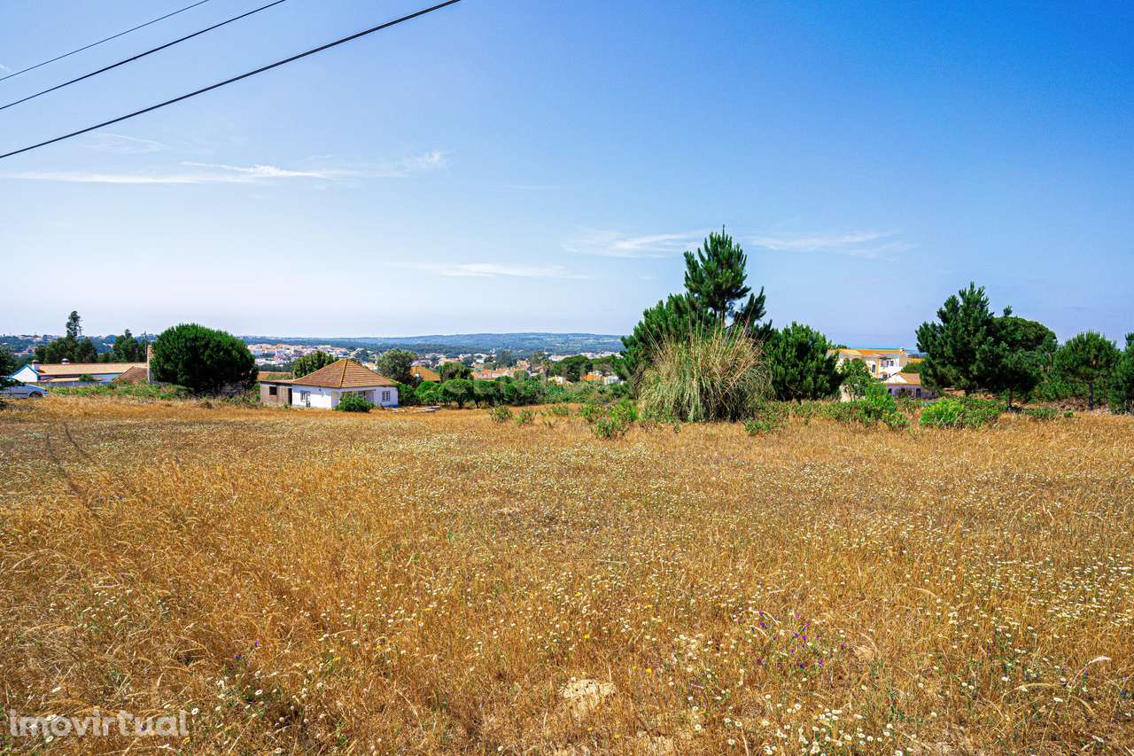 Terreno 4 910m2 | Nadadouro - Grande imagem: 4/9