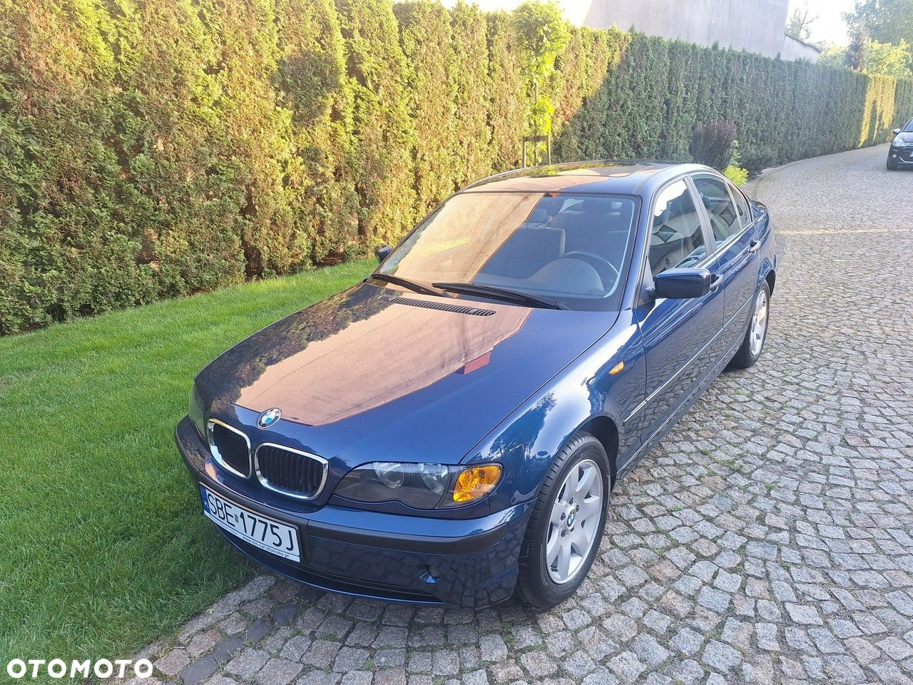 BMW Seria 3 318i Edition Exclusive - 27