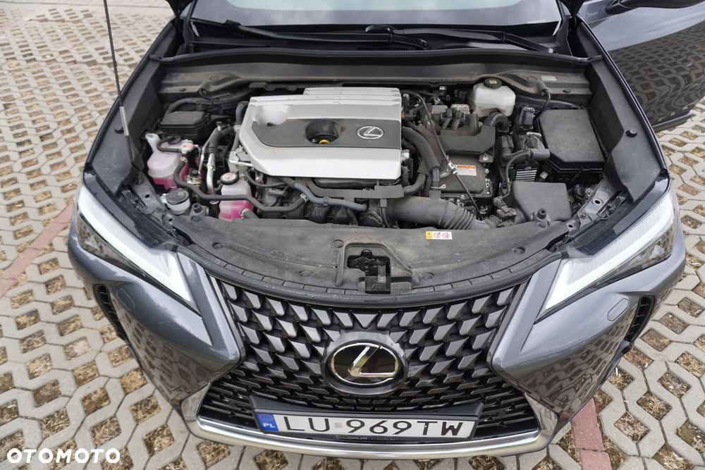 Lexus UX 250h GPF Business Edition 2WD - 18