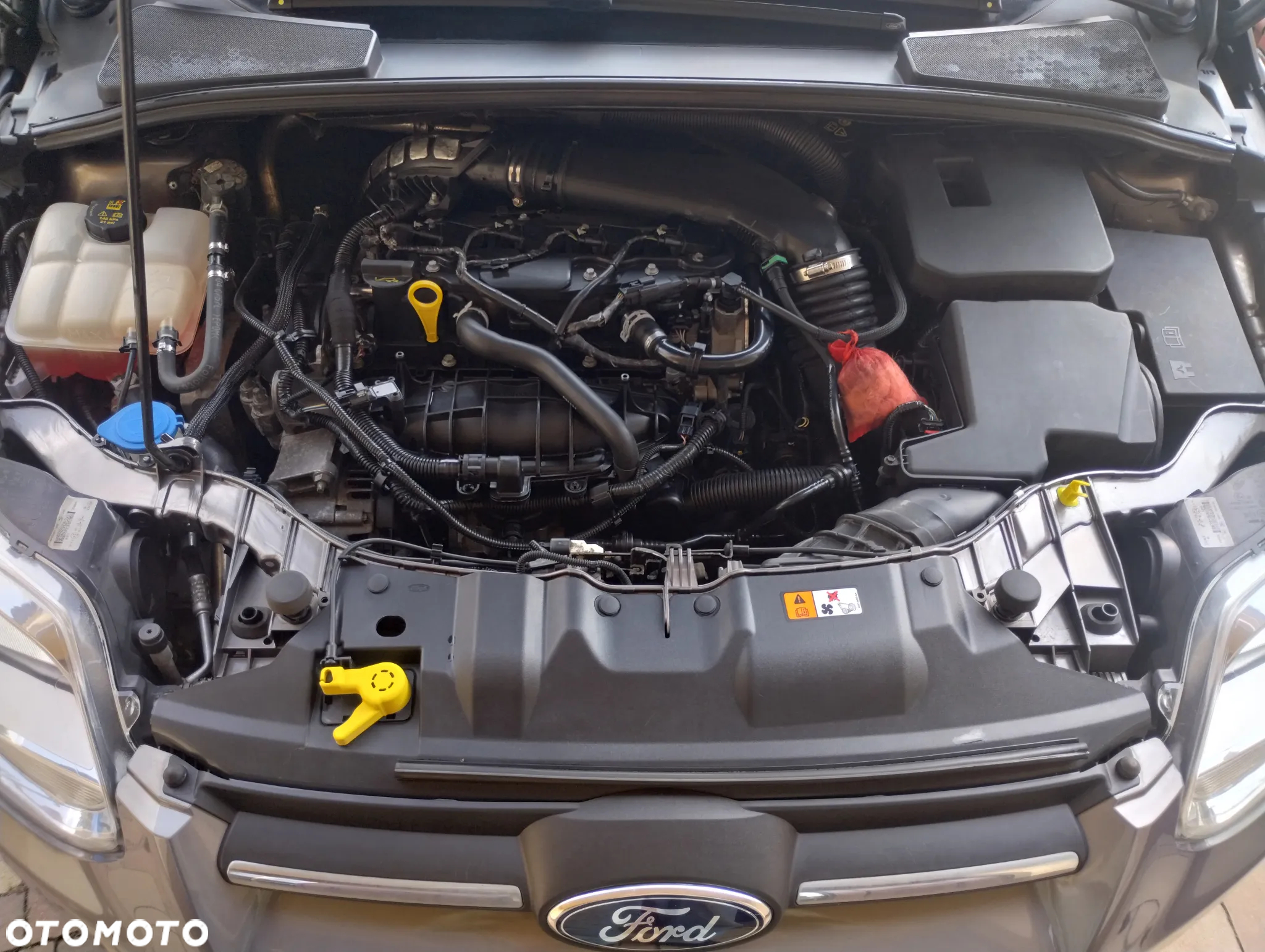 Ford Focus 1.6 EcoBoost Trend Sport - 34
