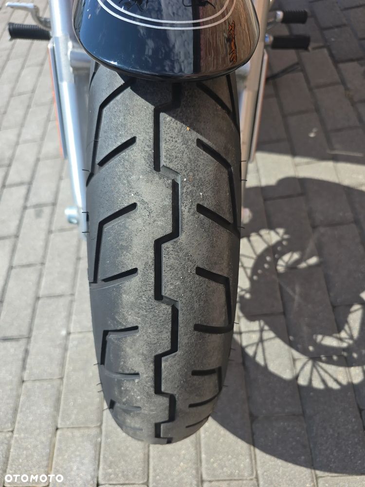 Harley-Davidson Sportster Custom 1200C - 5