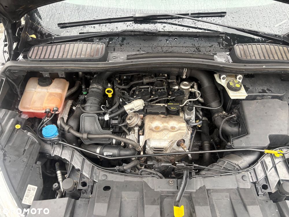 Ford C-MAX 1.0 EcoBoost Trend ASS - 24