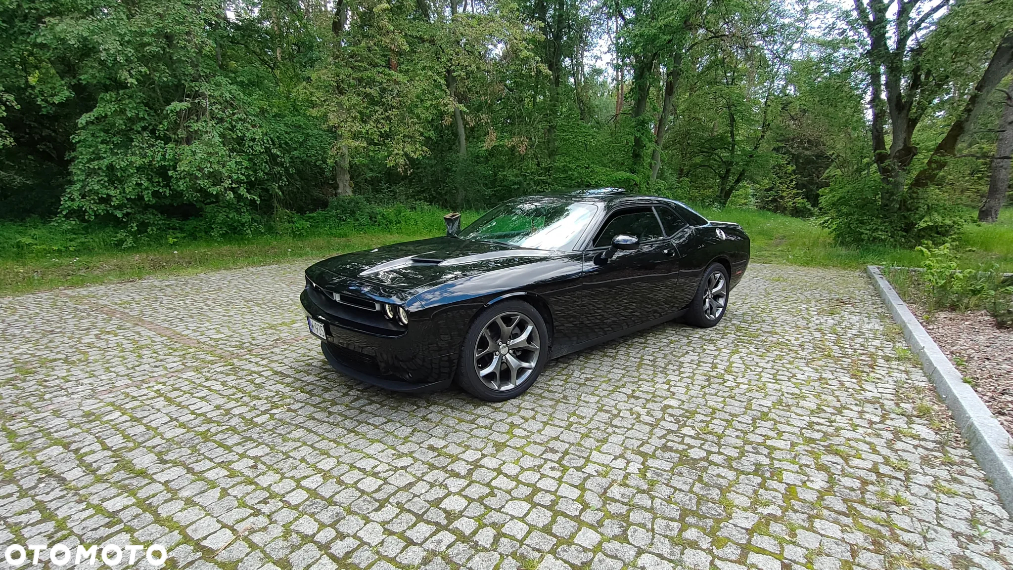 Dodge Challenger Automatik SXT Plus - 13