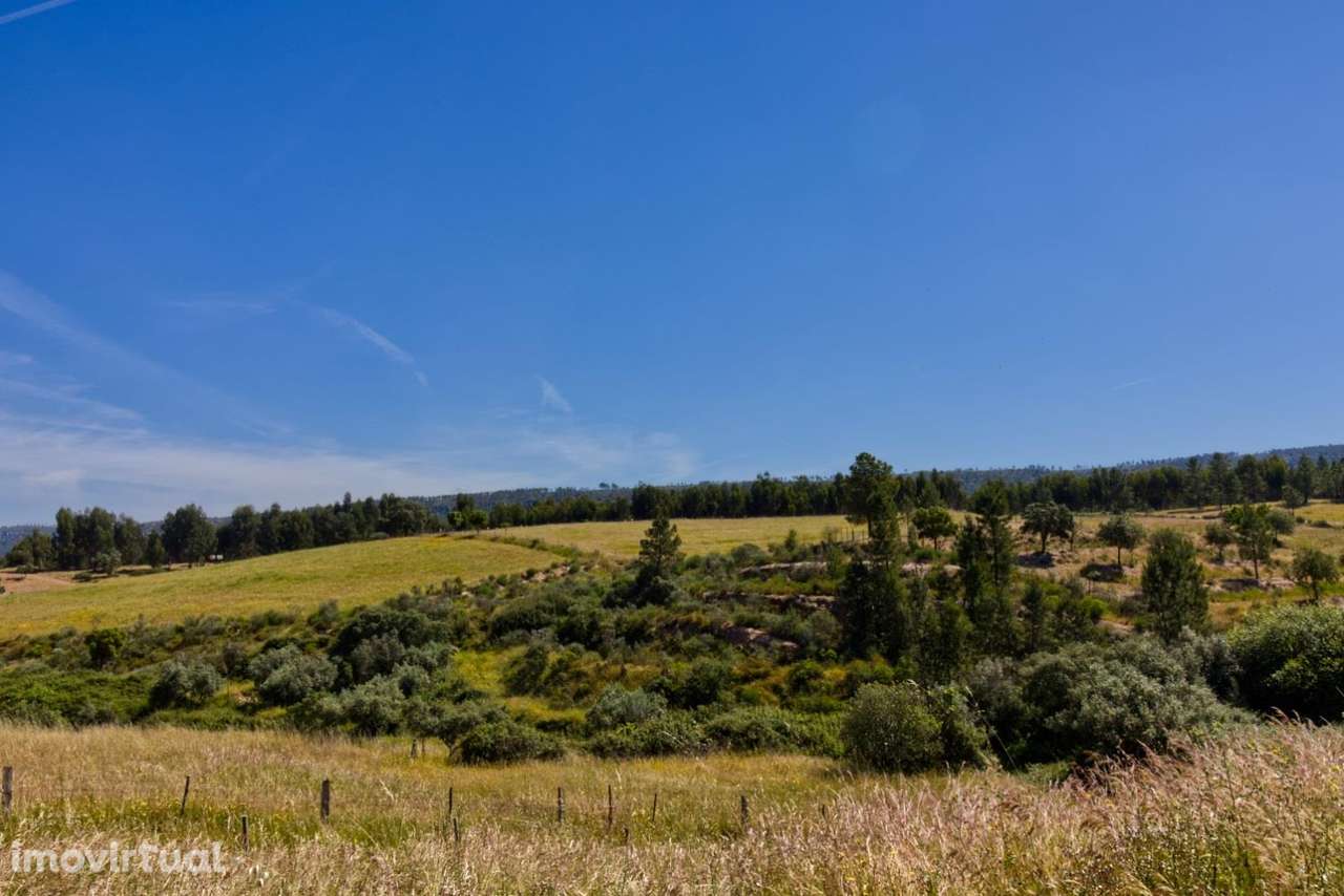 Quinta - Grande imagem: 3/15