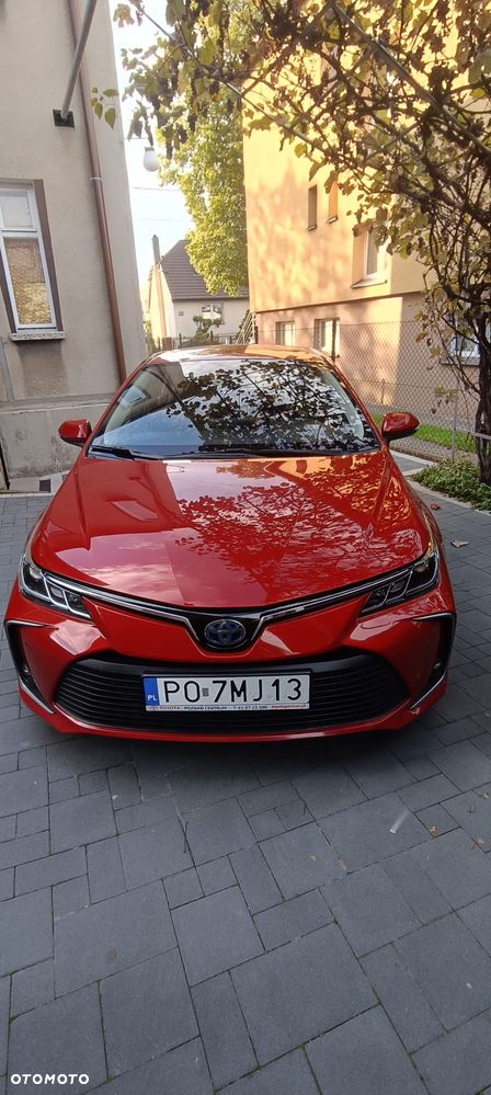 Toyota Corolla 2019 photo 5