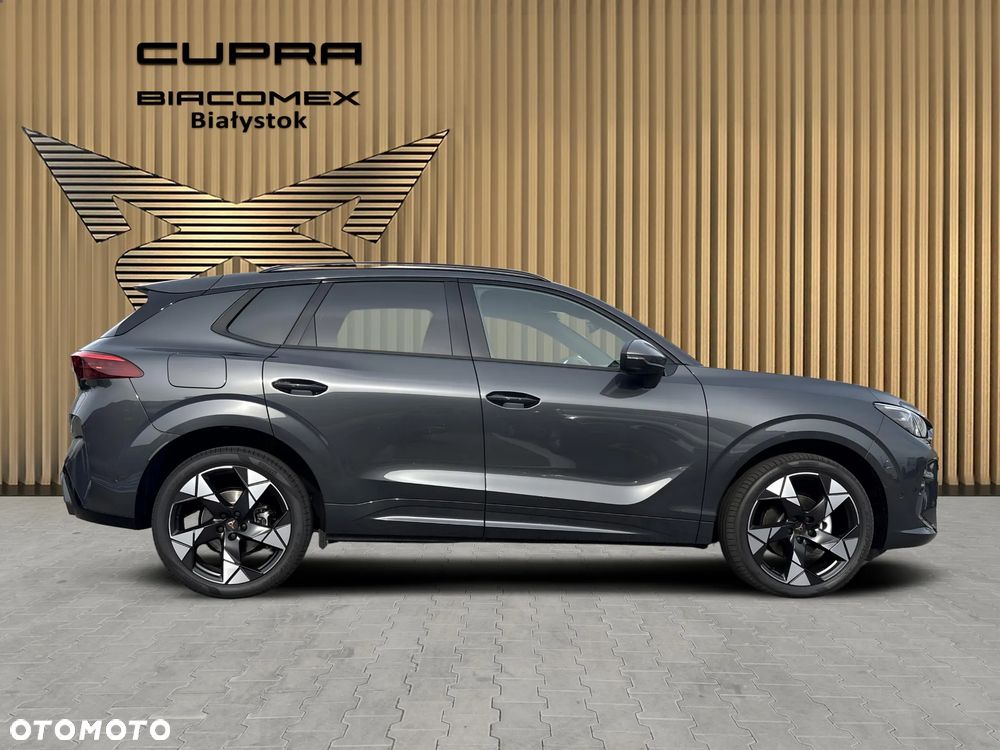 Cupra Terramar - 7