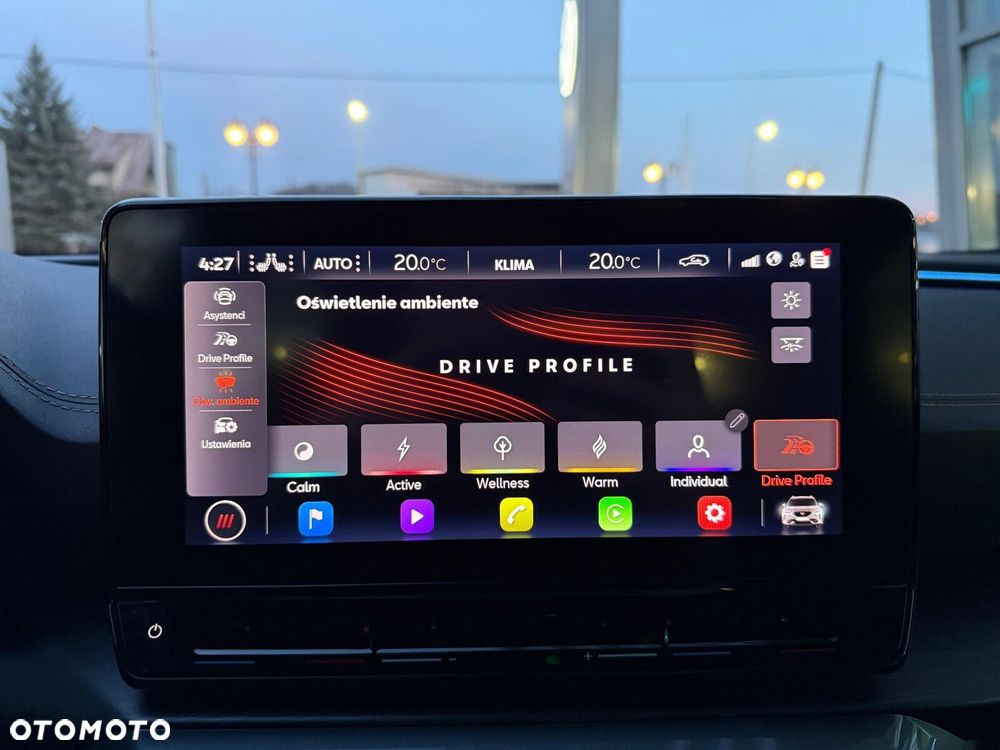 Cupra Formentor 2.0 TDI 4Drive DSG - 25