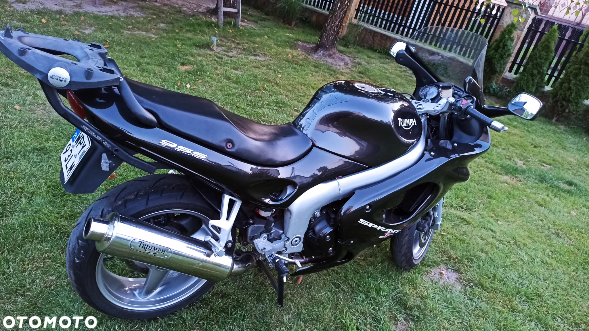 Triumph Sprint - 8