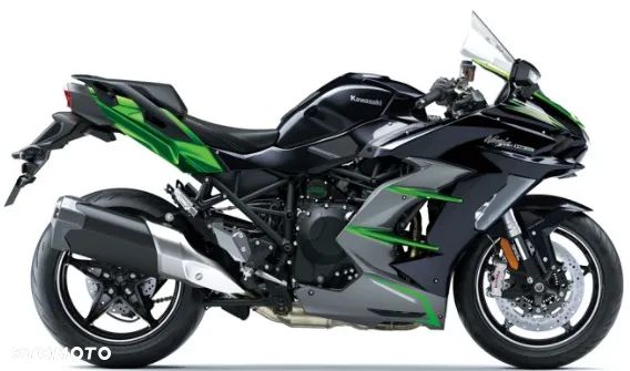 Kawasaki Ninja - 3