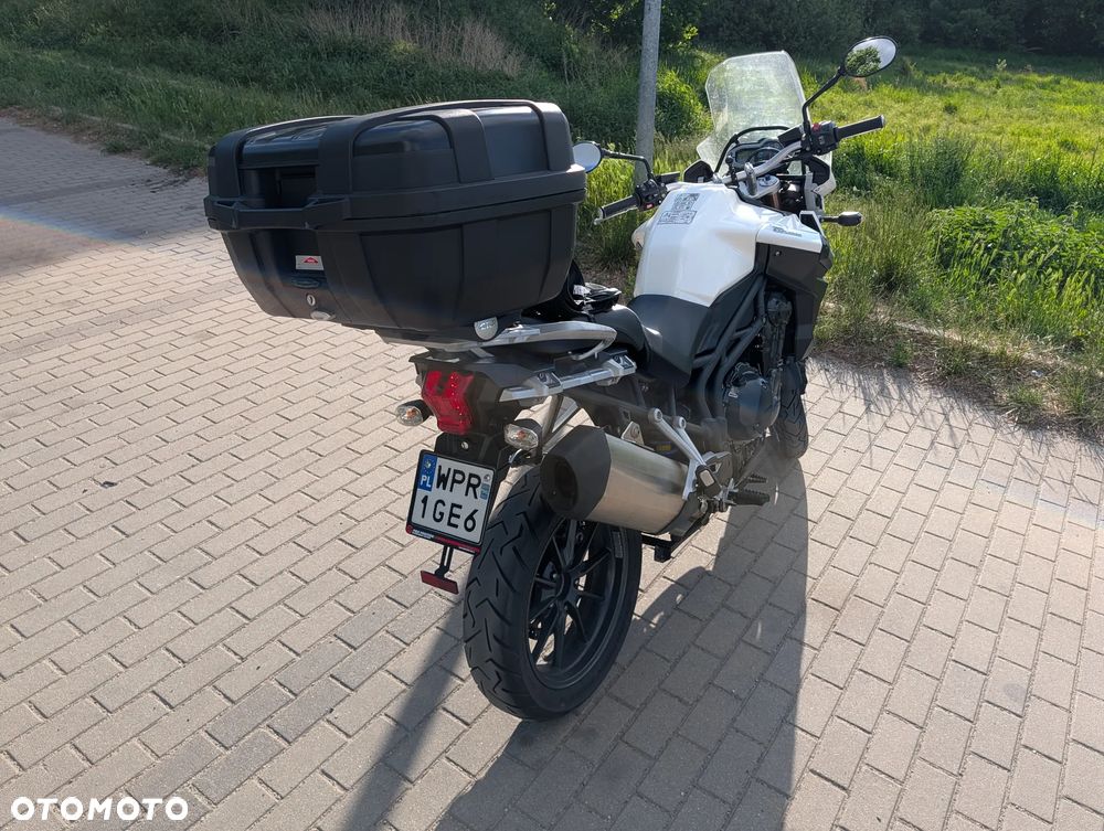 Triumph Tiger - 5
