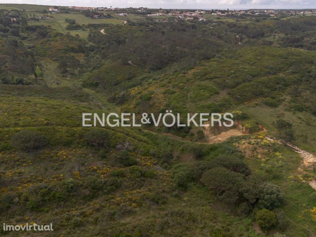 Terreno com Vista Mar e Projeto Aprovado no Meco - Sesimbra - Grande imagem: 5/37
