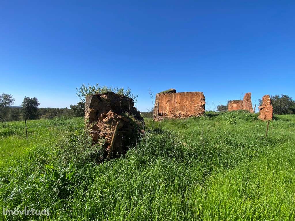 Quinta no Alentejo, com plantação de sobreiros, tudo vedado e com u... - Grande imagem: 3/60