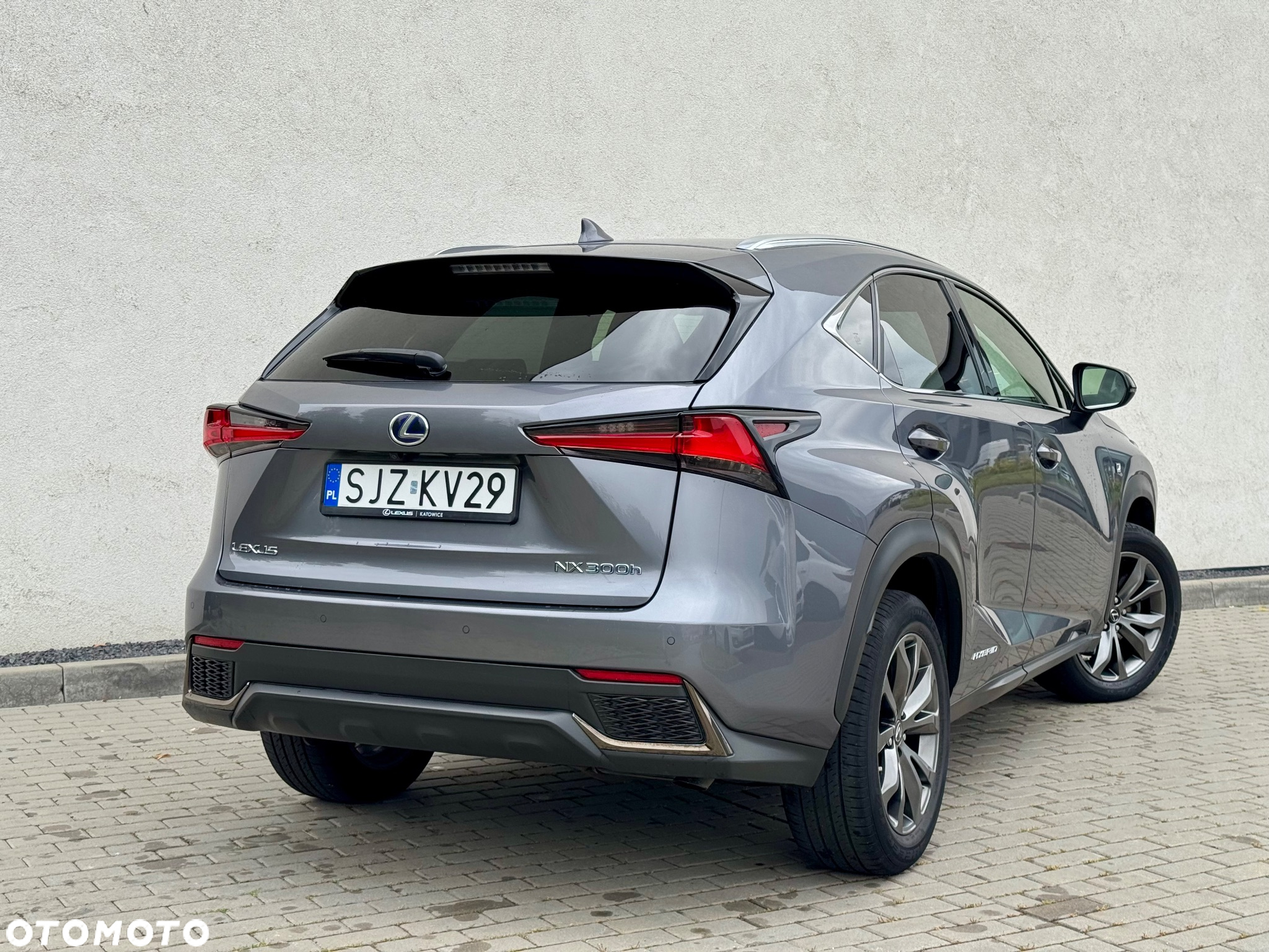 Lexus NX 300h F Sport Edition AWD - 11