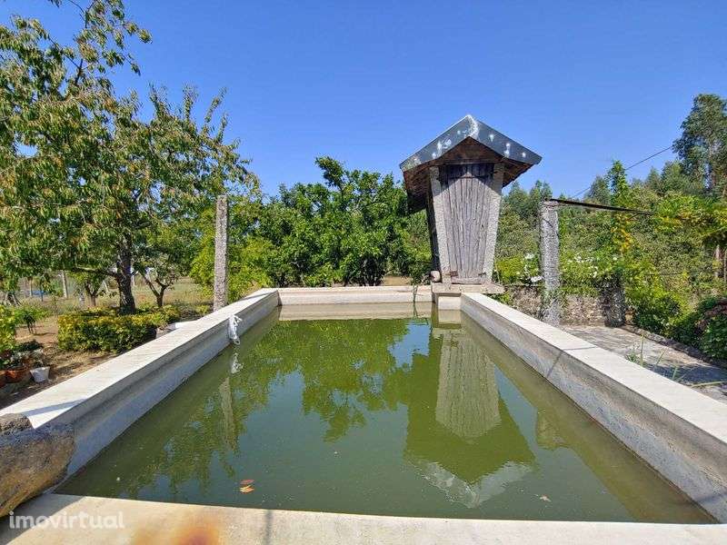 Quinta com Moradia T4 e 11.000 m² de terreno em Mansores, Arouca - Grande imagem: 5/12