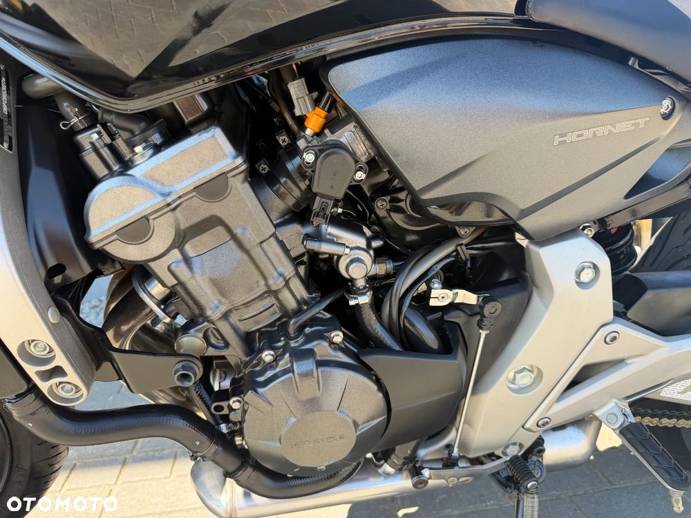 Honda Hornet - 31