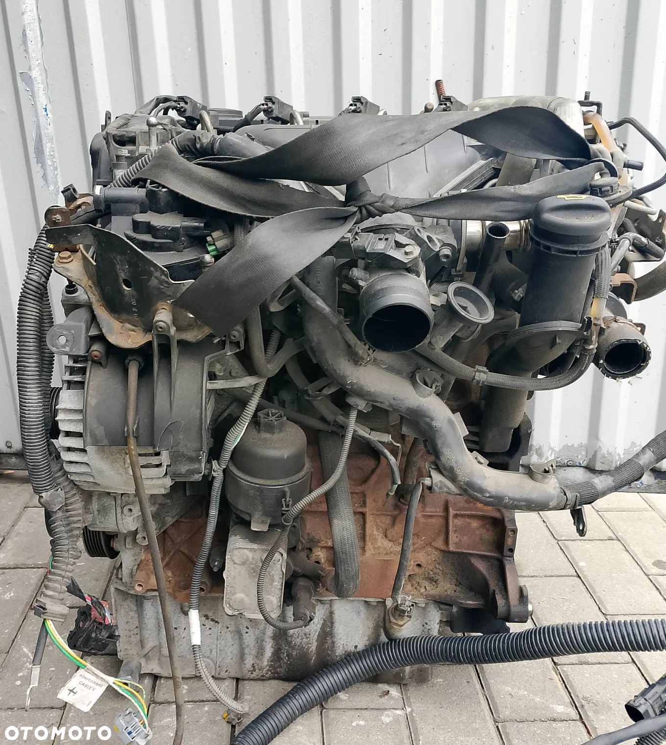 Kompletny silnik 2.0 HDI JTD RHK Peugeot Expert Fiat Scudo 10DYXA - 1