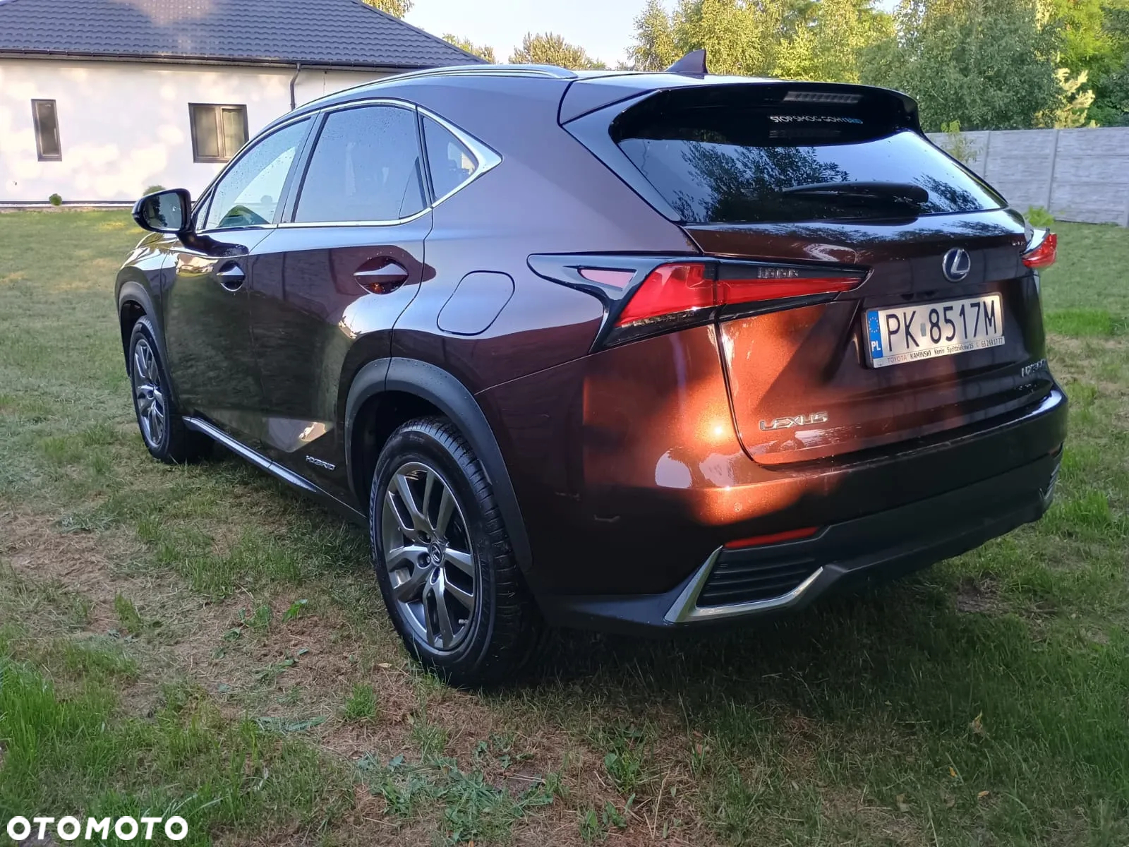 Lexus NX 300h Elegance AWD - 17