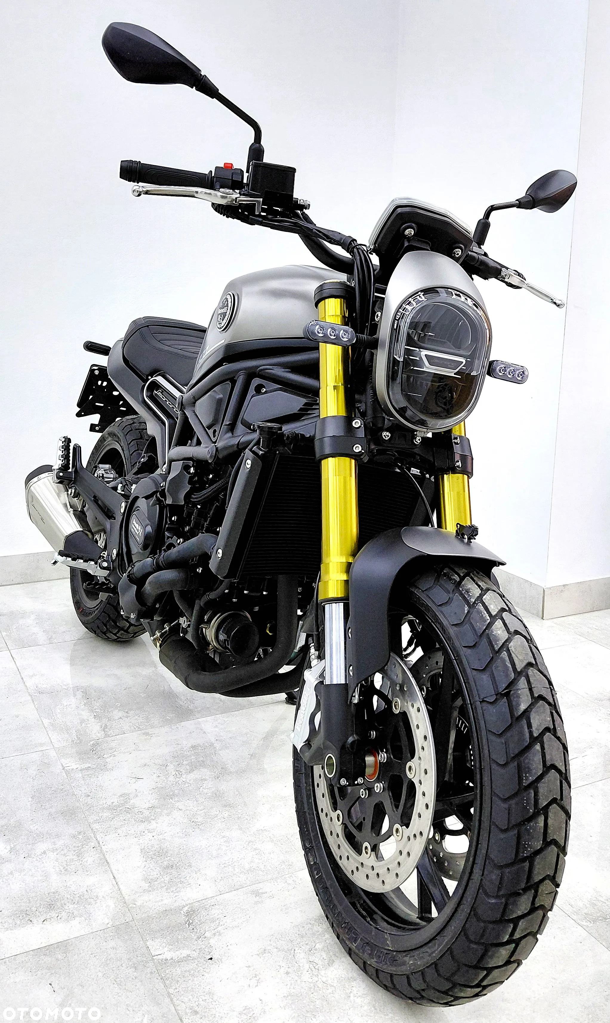 Benelli Leoncino - 3